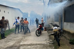 Alarma en Táchira por brote de dengue: una niña falleció por la enfermedad en Coloncito