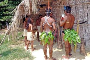 Habitantes del Amazonas tienen una variante genética que los protege del Chagas