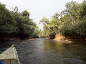 FundaRedes: Cuenca del río Cataniapo – Amazonas en peligro inminente por explotación de minería ilegal