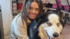 Indignación en California: Policías mataron a un perro husky tras electrocutarlo con un Taser (VIDEO)