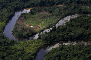 Brasil expulsará a mineros ilegales en tierras fronterizas del pueblo yanomami