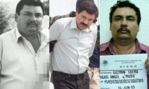 ¿Quiénes son los hermanos de “El Chapo” Guzmán dentro del Cártel de Sinaloa?