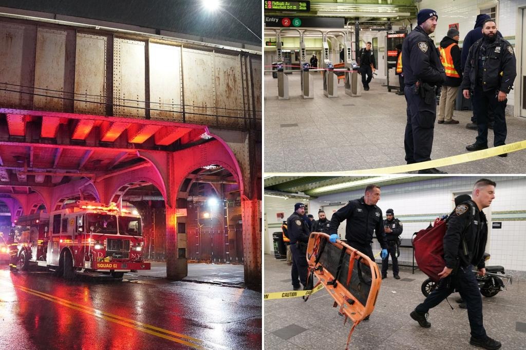 Conmoción en Nueva York: Niño de 14 años murió mientras cruzaba vagones del metro