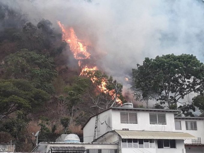 Reportaron incendio forestal en El Ávila este #13Mar (Fotos)
