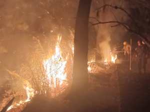 Reportaron fuerte incendio forestal en Los Teques este #16Mar (Fotos y Videos)