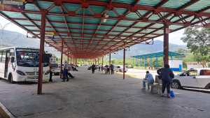 Transportistas de la frontera en Táchira, con pérdidas económicas tras retrasos en autorización para cubrir ruta a Cúcuta
