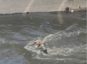 Hallaron un cadáver flotando en las aguas del río Guaire a la altura de Jardín Botánico este #6Mar (FOTO)