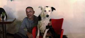 La historia y entrenamiento de Tsunami, el can venezolano que fue a salvar vidas en Turquía
