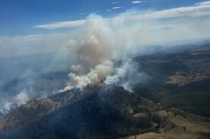 Alerta en Australia: más de treinta de incendios forestales por una una ola de calor (Video)