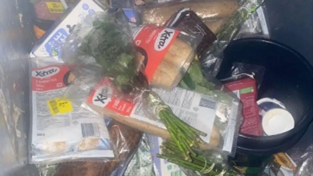 Dos latinos se fueron a Dinamarca para “estar mejor” y ahora son virales por comer de la basura (VIDEO)