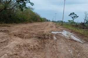 La carretera de Palmarito en Apure, en ruinas ante la falta de asfaltado