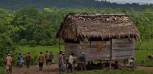Denuncian asesinatos y secuestros contra comunidad indígena Wilu en Nicaragua