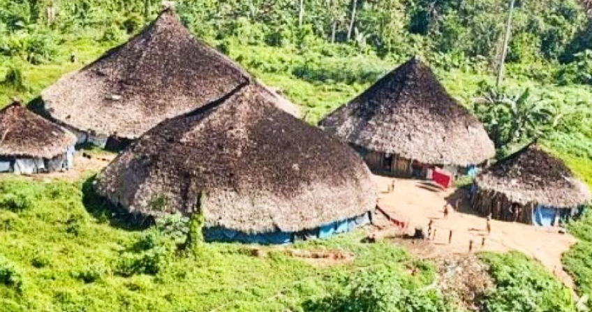 Brasil destruyó 200 campamentos de mineros ilegales en tierra yanomami