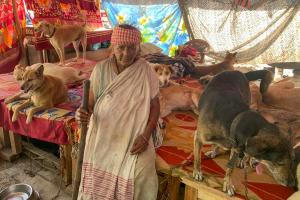 Con 200 perros a su cargo, una anciana aterra a sus vecinos en la India (Fotos)