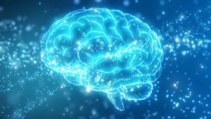 Qué es la misteriosa “zona incierta” del cerebro y qué pistas ofrece un nueva investigación sobre ella