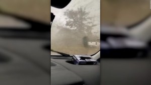Vivió para contarlo: Conductor quedó atrapado en su camioneta durante fuerte tornado en Arkansas (VIDEO)