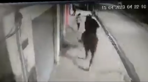 Montando a caballo: Sujeto aterroriza y asalta a personas que madrugan para trabajar (VIDEO)