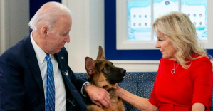 Perro de Biden provoca una demanda por informes sobre incidentes de agresión y mordeduras