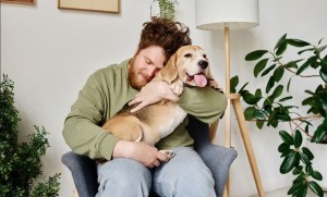 “Perrapeutas”: las mejores razas de perros para personas con ansiedad y depresión, según expertos