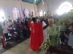 Feligreses católicos en Guárico participaron en la bendición de las palmas este #2Abr