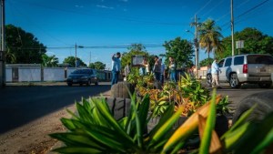 Planting plants and shrubs in Maracaibo will contribute to reducing the temperature in the city