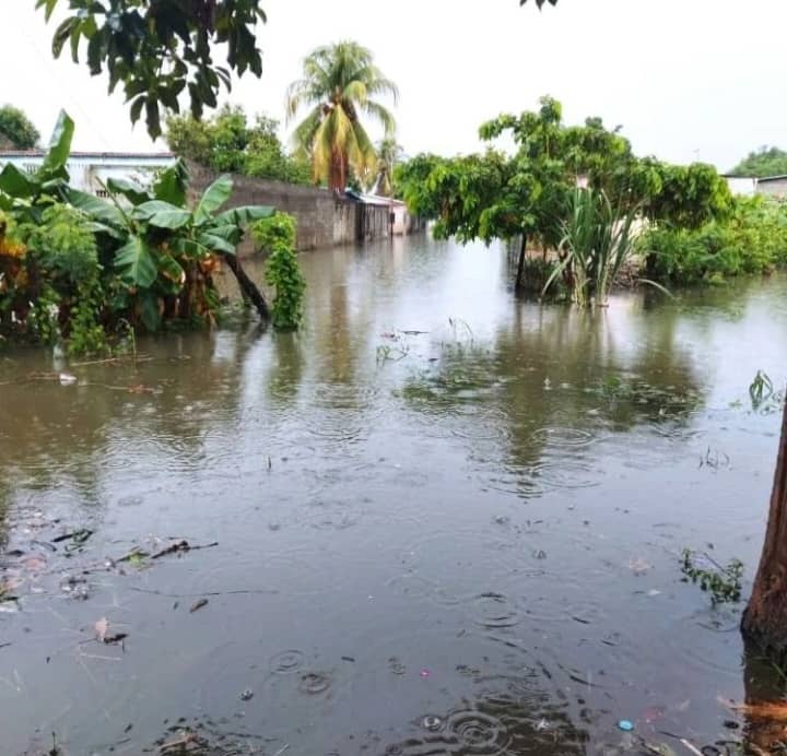 Inundaciones afectan al barrio Mi Jardín de Barinas… y nadie los ayuda