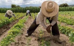 Cansados de burlas productores campesinos saldrán a protestar en Guárico este #1May (VIDEO)