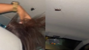 El peor viaje de tu vida: la reacción de un grupo de amigos cuando una cucaracha apareció en el auto (VIDEO)