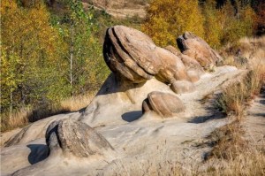 El misterio de las piedras vivas: crecen, se reproducen y respiran (VIDEO)