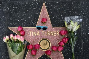 Luto en la música: Falleció la cantante Tina Turner