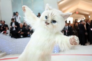 Jared Leto se disfrazó de gato e impactó a todos en la Met Gala (Fotos)