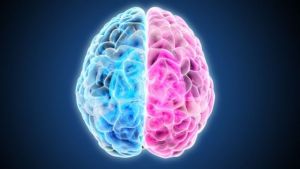 Ni la creatividad está a la derecha ni la lógica a la izquierda: el “neuromito” de los hemisferios cerebrales