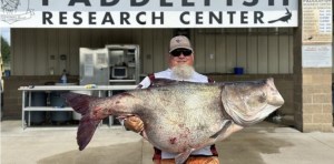 Atrapó un “pez alienígena” en Oklahoma que dentro tenía 11 millones de huevos