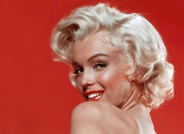 Sapiosexuals: celebrities since Marilyn Monroe who expressed being attracted to intelligent people