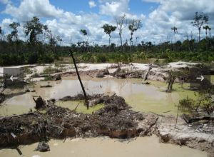 Disidencias de las Farc y ELN lideran explotación ilegal de oro en Parque Nacional Yapacana en Amazonas