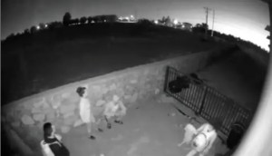 VIDEO: Migrantes intentan esconderse en el patio una casa en El Paso hasta que la cámara los asusta