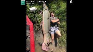 Capturan una “bestia magnífica” en lago de Texas que estableció un nuevo récord