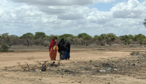 Más de un millón de desplazados este año en Somalia por conflicto, sequía e inundaciones