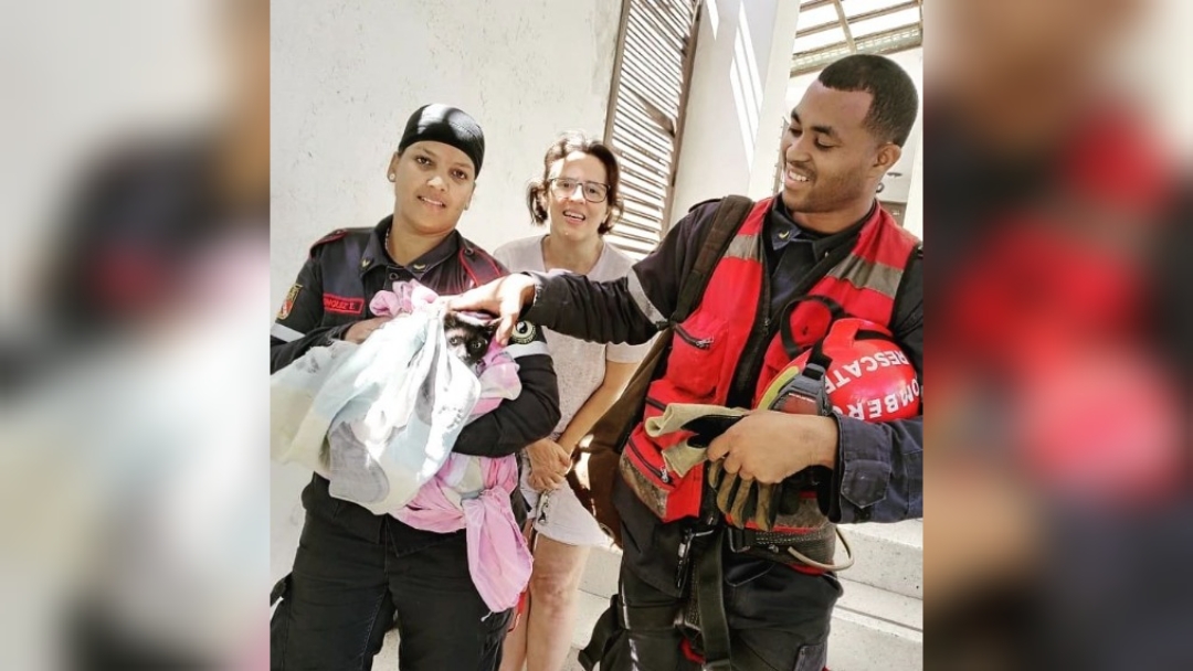 En imágenes: Bomberos rescataron sana y salva a gatita que se encontraba en riesgo en El Paraíso