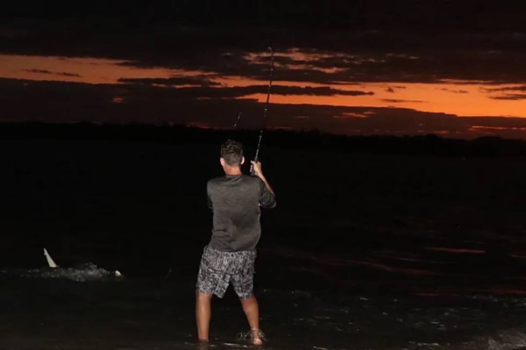 “Es un dinosaurio”: Pescaban a la noche en un lago de Florida y una criatura los dejó impactados (VIDEO)