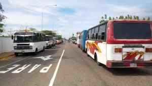 Transportistas de Paraguaná andan amotinados: poco combustible y muchos “vivarachos” que se colean