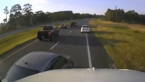 Se detuvó ayudar a una tortuga en una concurrida carretera de Florida y provocó un choque múltiple (VIDEO)