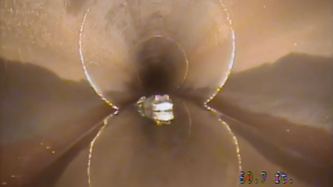 VIDEO: exploraban una tubería y encontraron a un espeluznante animal de metro y medio de largo