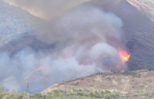 Incendios forestales en Caracas: Más de 270 casos registrados en lo que va de 2023