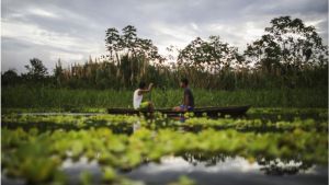 Cómo es la densa selva en la Amazonía donde los niños indígenas de Colombia estuvieron perdidos 40 días