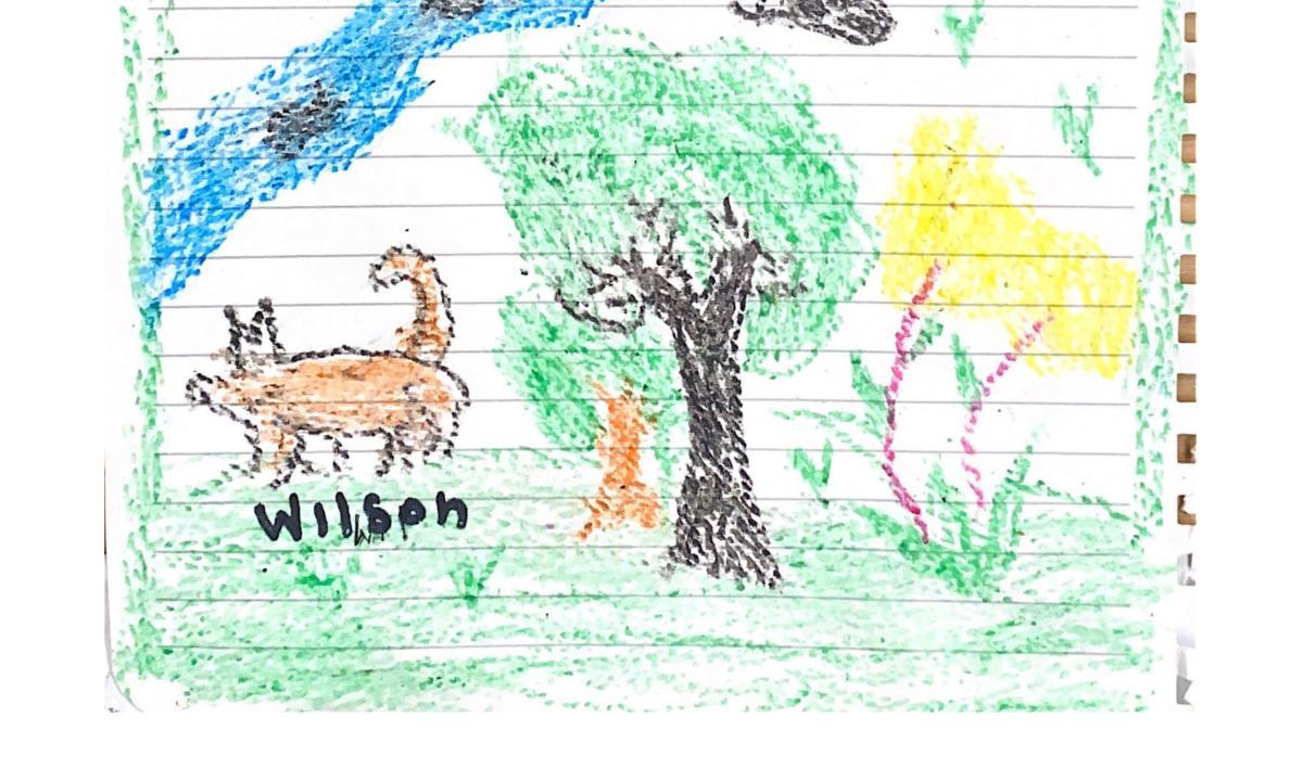 Lesly, la niña rescatada en la selva, dibujó al perrito “Wilson”, el héroe que sigue desaparecido