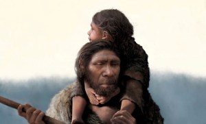 Descubren una conexión genética entre la “enfermedad de los vikingos” y los neandertales
