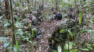 Abuelo de los niños perdidos en la selva colombiana aseguró que fueron cuidados por estos “duendes”