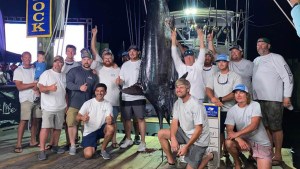 Pescaron un marlín gigante de 280 kilos, pero un tiburón los dejo sin el premio de casi cuatro millones de dólares