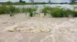 “Bajo las aguas” están los campos y carretera de Santa Inés en Barinas